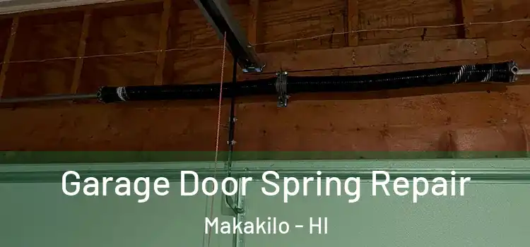  Garage Door Spring Repair Makakilo - HI