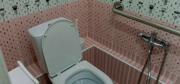 Meeting Diverse Needs With Accessible Restroom Solutions in Makakilo, HI